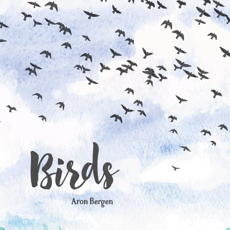 Обложка Birds